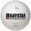Derbystar Indoor Super / PU - Weiß